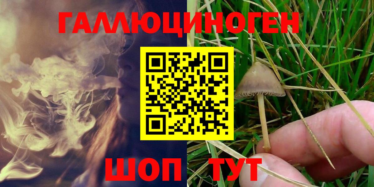 Нягань  Псилоцибиновые грибы Magic Shrooms  Вход с VPN 